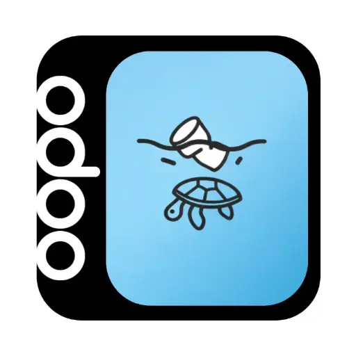 BDO Raportowanie opakowań i odpadów