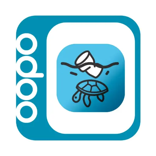 BDO Raportowanie opakowań i odpadów